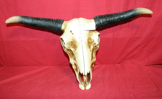 NEWER BOVINE SKULL DECORATION