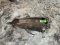 Bobcat Mo. 3560 Hammer/Breaker,
