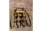 2021 Bodine GR180 34