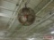 (10) Ceiling Mounted Shop Fans, Various Sizes, Plug in Electrical In Assembly Room