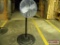 Dayton Pedestal Fan