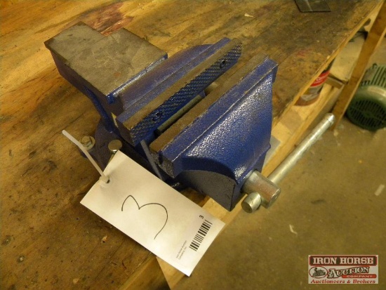 Force 6" Vise