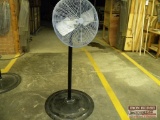 Dayton Pedestal Fan