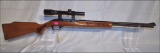 Glenfield .22 rifle