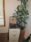 File Cabinet & Plant