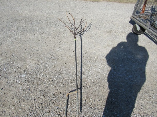 Decorative Bottle Tree Stand