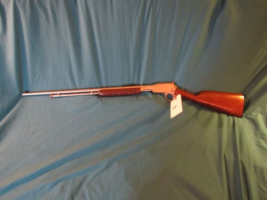 22 cal Taurus Pump Rifle