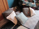 Pillows & blanket