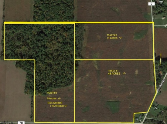 132 Acres South of Garrett, IN ~ No Reserve!