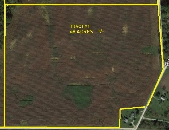 Tract 1 - 48 Acres (+/-)