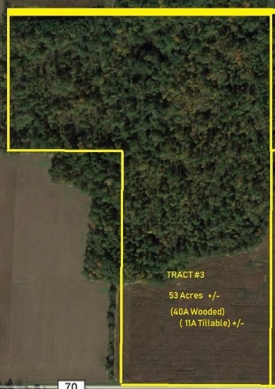 Tract 3 - 53 Acres (+/-)