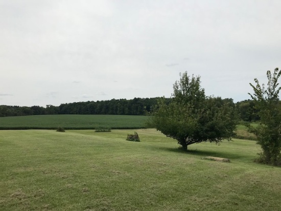 No Reserve - 30 Acres