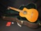 Takamine Classical Electric Guitar