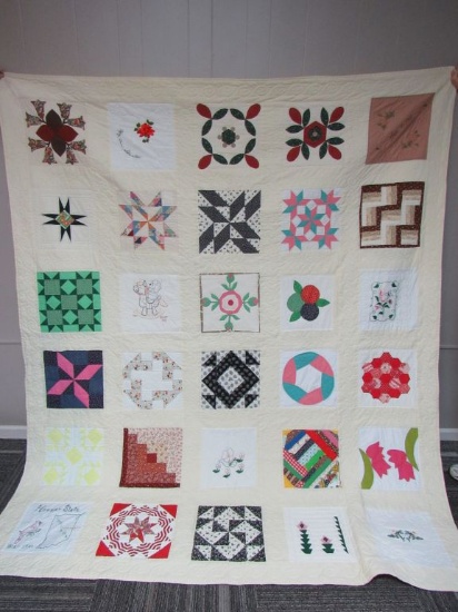 DCCOA Fundraiser - Quilt