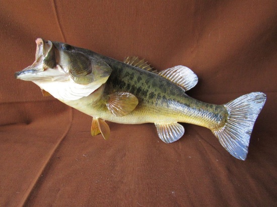 Bass wall mount