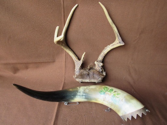 Antler and horn lot
