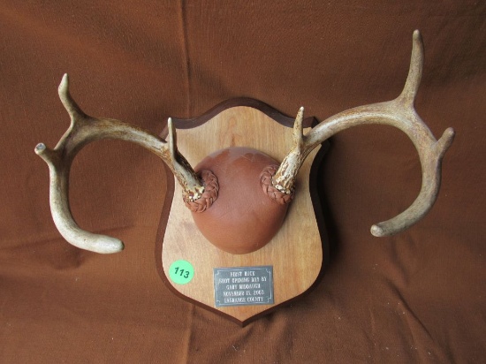 Antler mount