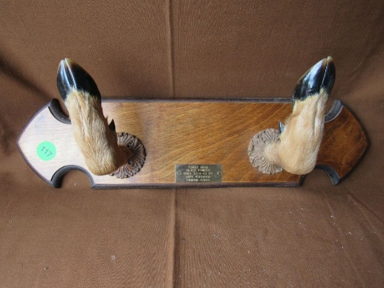 Deer hoof mount