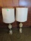 2 pc lamp lot