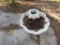 Concrete bird bath