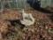 Concrete pedestal with dog