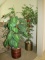 2 artificial trees
