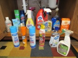 Cleaning supplies