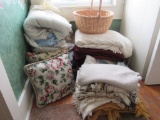 Pillows and blanket lot