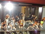 Grouping of beagles