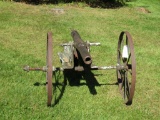 Cannon