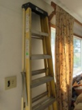 Davidson 7 ft ladder