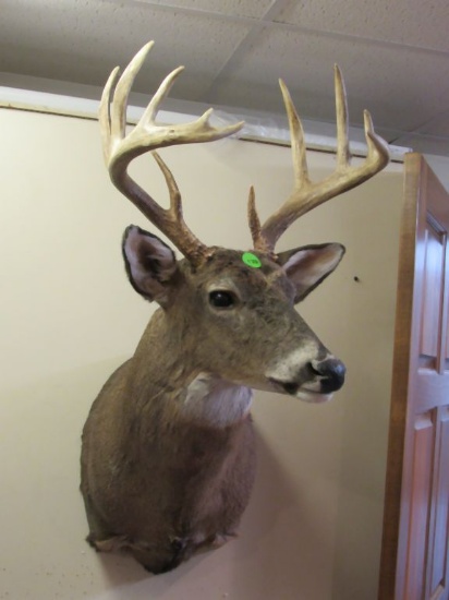 Wall mounted buck