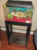 Fish tank on stand