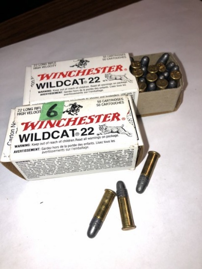 Winchester Wildcat 22 Shells