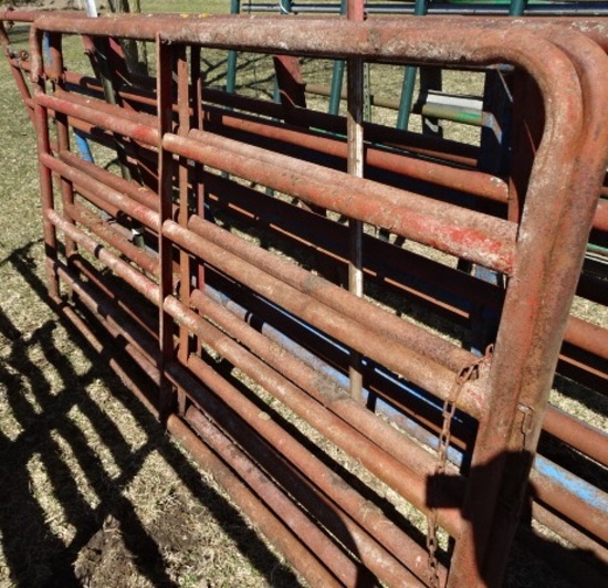(2) RED GATES, 8' ONE IS GOOD & OTHER IS IN ROUGH COND