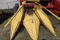 NEW HOLLAND 924 2 ROW GATHERING HEAD