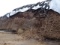 1,000+/- TON OF 2022 HI-MOISTURE HAYLAGE