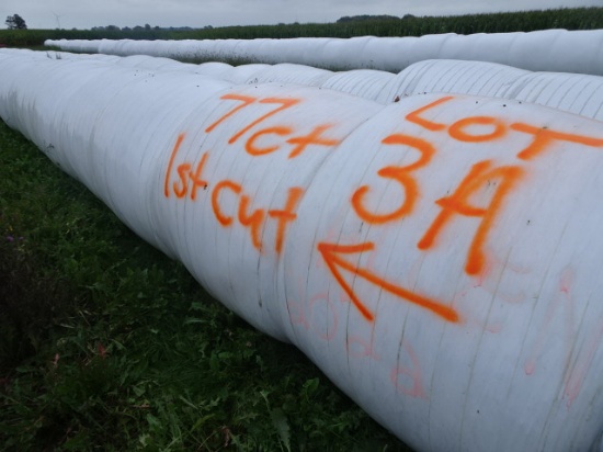 (77) 4’X5’ ROUND BALES OF 2022 1ST CUTTING HI- MOISTURE GRASSY ALFALFA HAY, WRAPPED