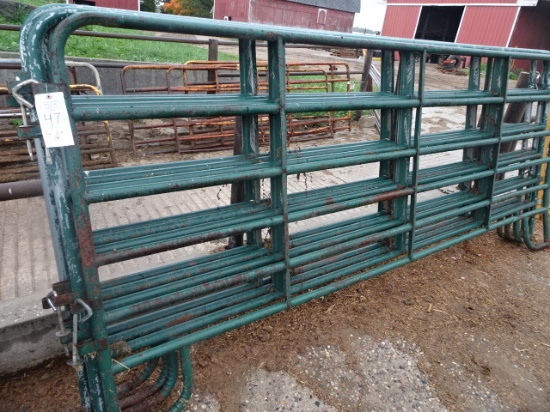 (4) 12' PIPE CORAL PANELS