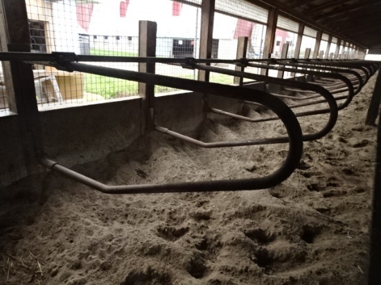 135+/- FREESTALLS