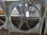 MUNTER 48