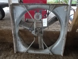 MUNTER 48