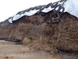 1,000+/- TON OF 2022 HI-MOISTURE HAYLAGE