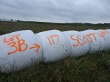 (117) 4’X5’ ROUND BALES OF 2021 4TH CUTTING HI-MOISTURE ALFALFA, WRAPPED