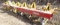 WHITE 2800 3 PT. 6 ROW CROP CULTIVATOR
