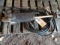 JD BLACK HYD. CYLINDER W/ HOSES
