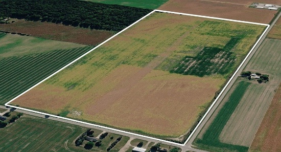80+/- Acre prime Tillable Farmland Located at 8371 W. Gilford Rd Fairgrove Mi 4733