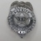 Waukesha County (Wisconsin) Deputy Sheriff Badge