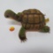 Steiff Turtle 
