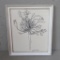 Botanical pen and ink by Mary Ann Rapp 1966